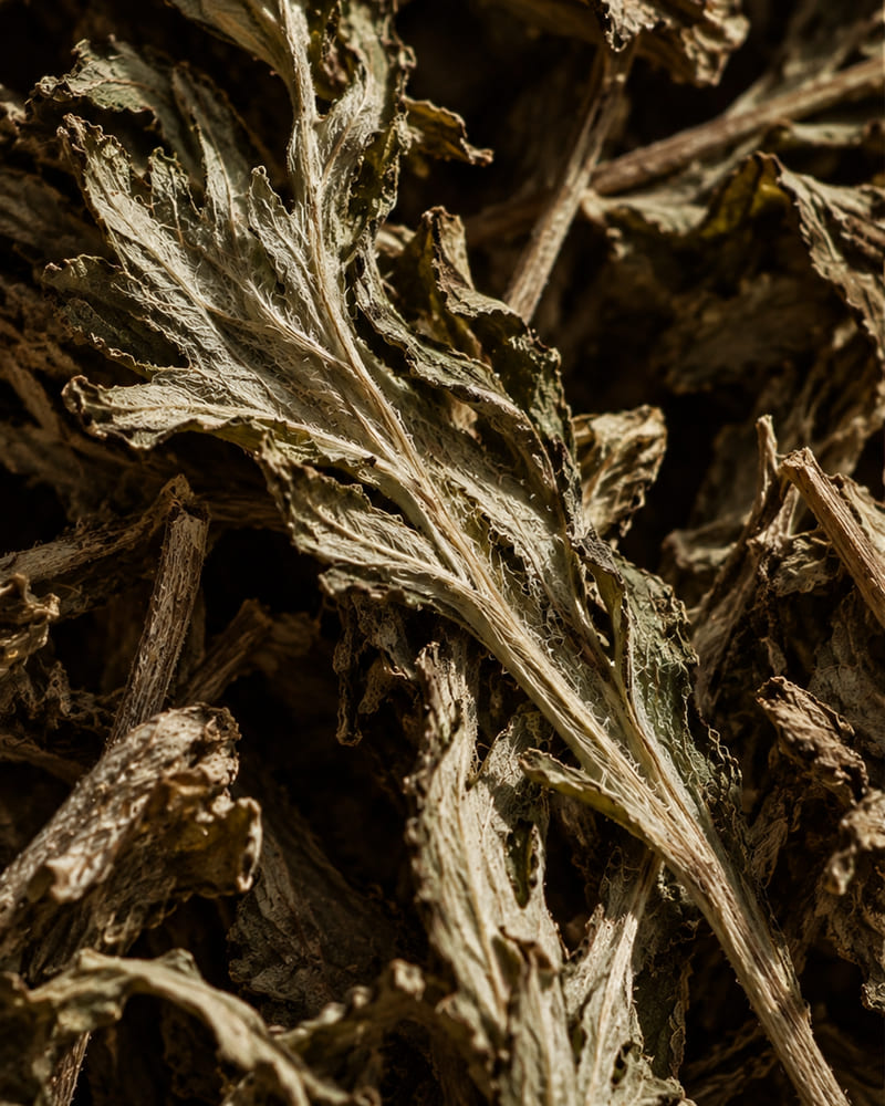 Mugwort